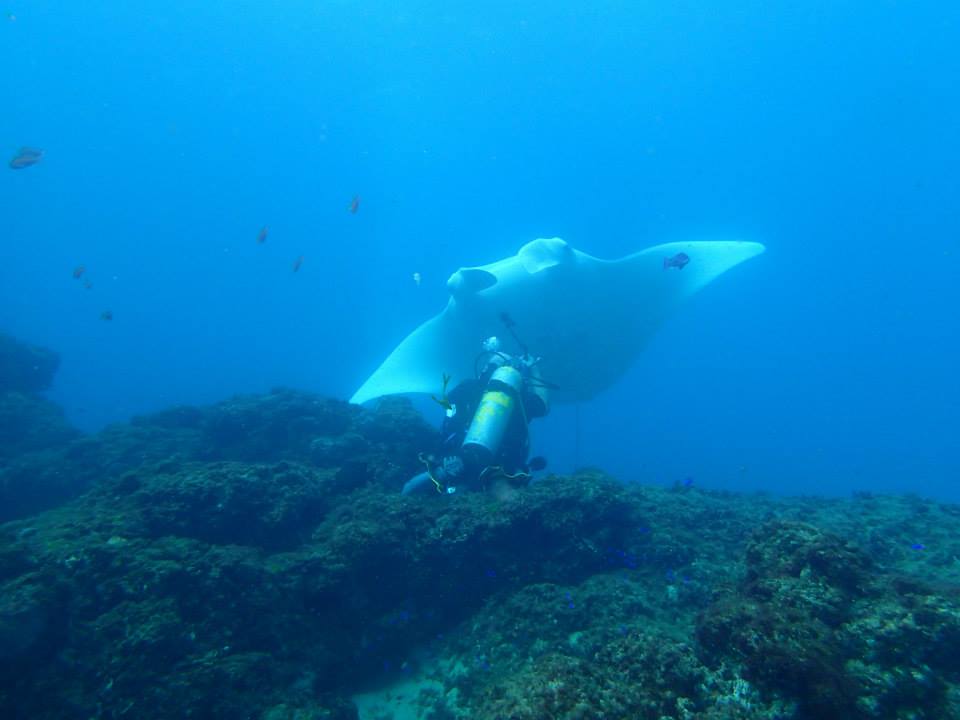 PADI Scuba Diving Brisbane