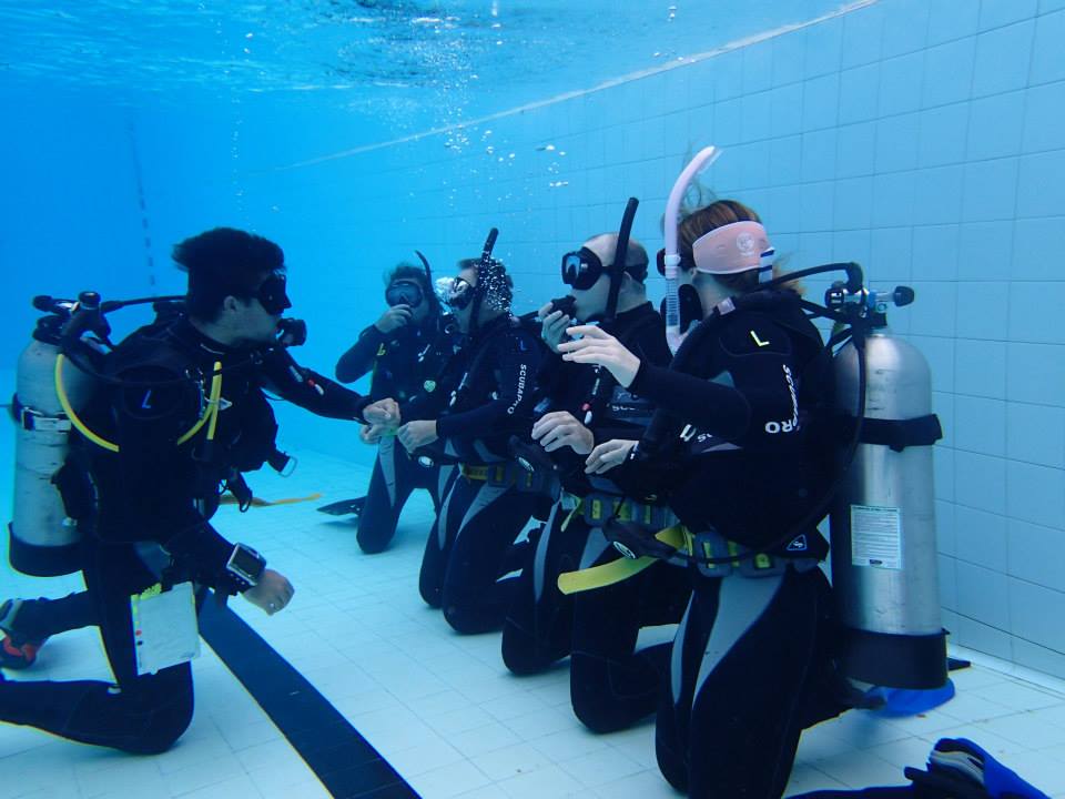 PADI Scuba Diving Brisbane